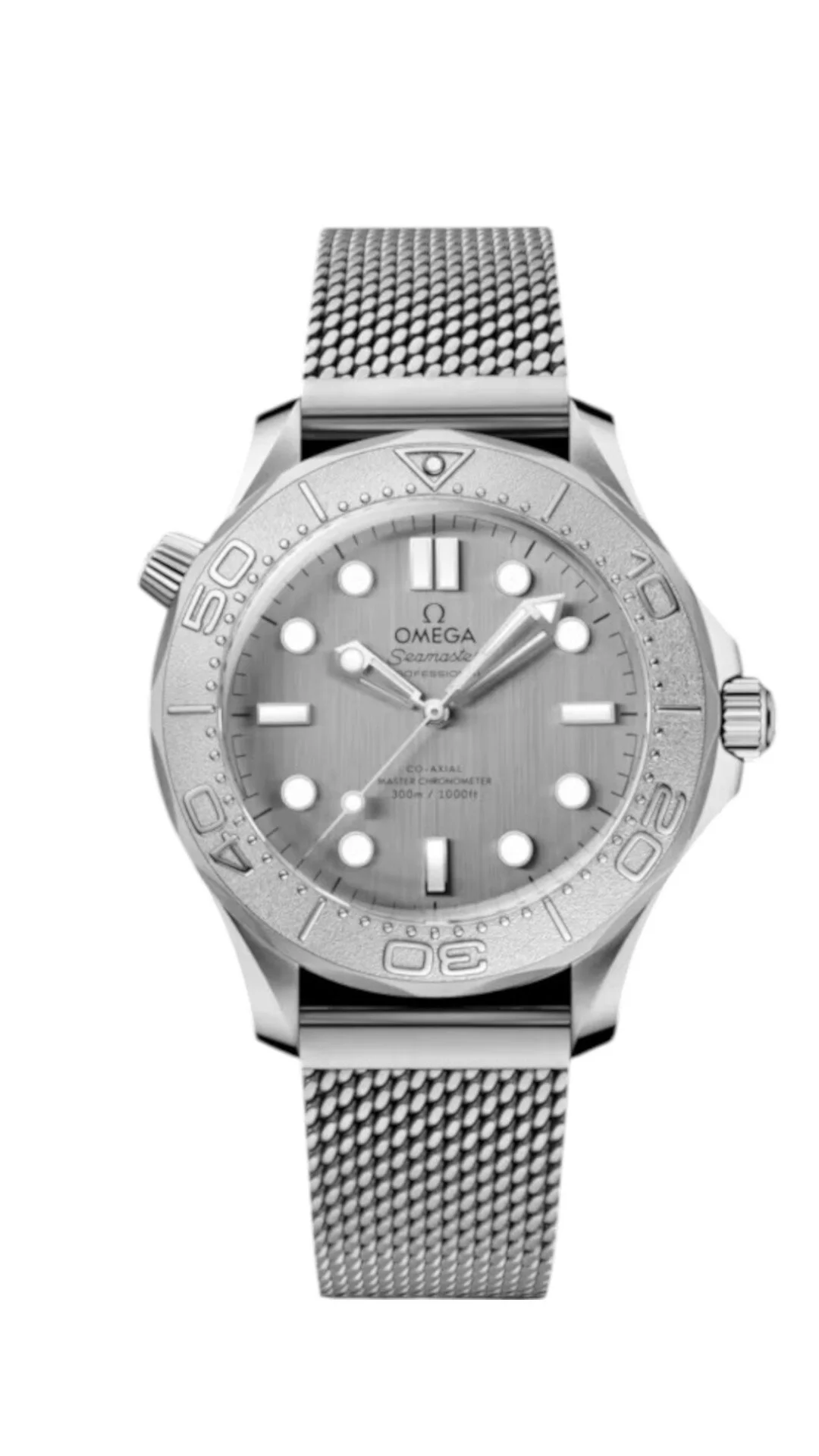 OMEGA SEAMASTER
DIVER 300M
